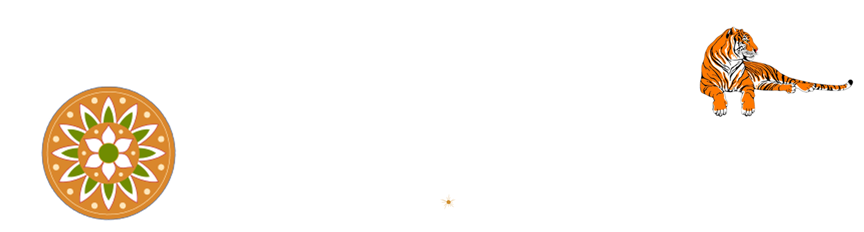 Madhya Pradesh DMC